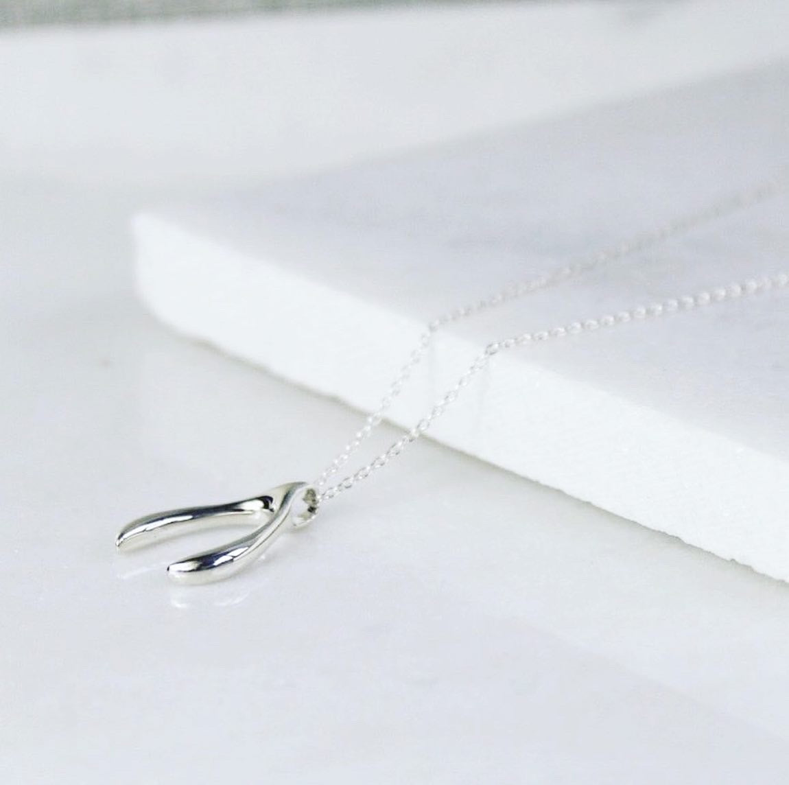 Silver Wishbone Necklace